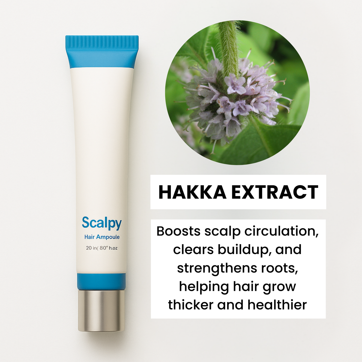 Scalpy® Hakka Plant Ampoule
